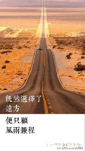 无关爱情，理智向前的句子有什么