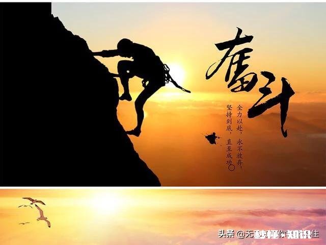 无关爱情，理智向前的句子有什么