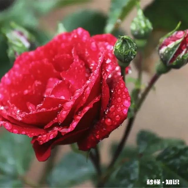 今天办了件丢脸的事，感觉好伤自尊，怎么办