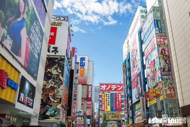 你经常逛的实体店是哪些