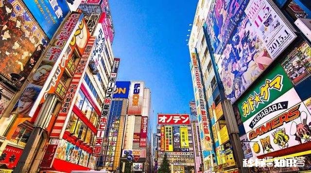 你经常逛的实体店是哪些