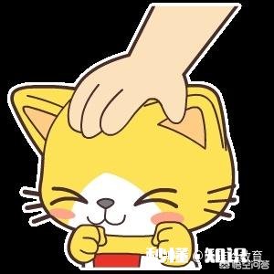 想培训一个IT技能，学前端好点还是Java好点