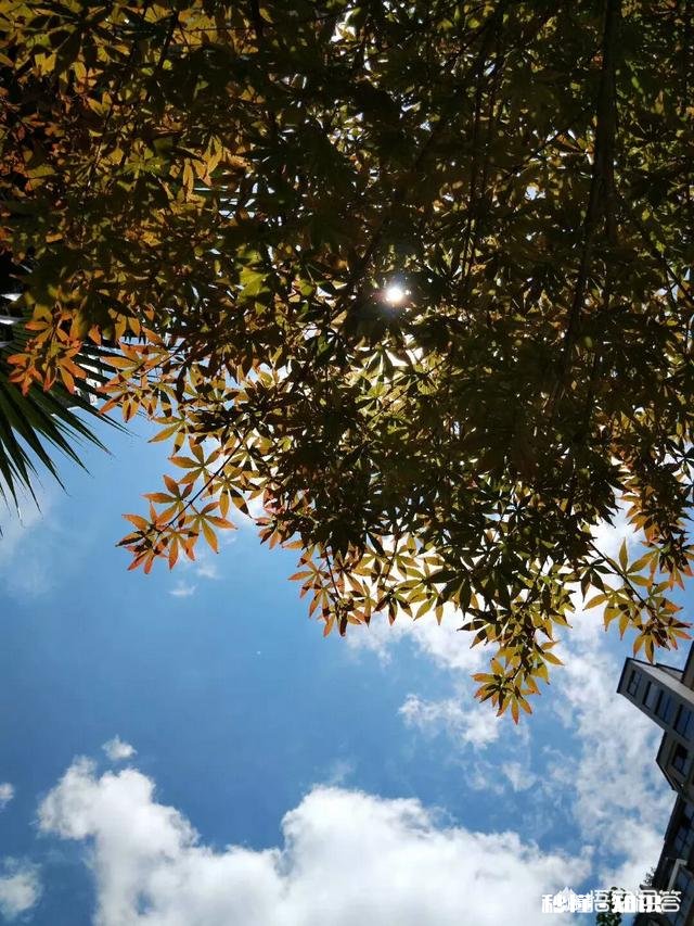 如果生命只剩半年，你会怎样度过