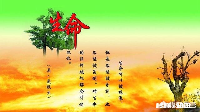 如果生命只剩半年，你会怎样度过