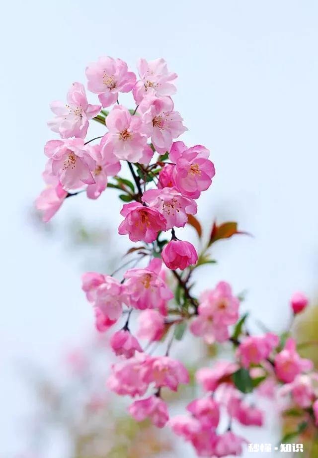 长时间一个人宅家,你会担心抑郁吗