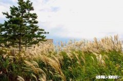 懦弱和忍让不怎么发脾气就是所谓的好脾气么