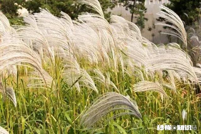 懦弱和忍让不怎么发脾气就是所谓的好脾气么