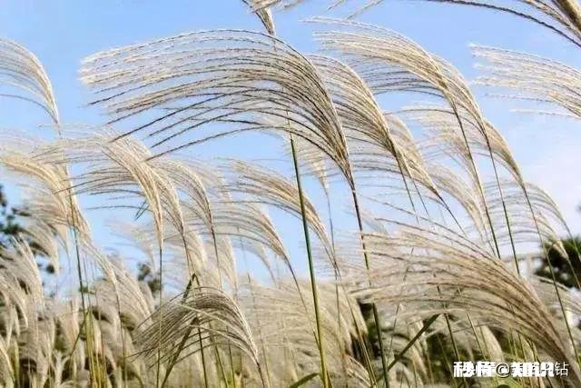 懦弱和忍让不怎么发脾气就是所谓的好脾气么