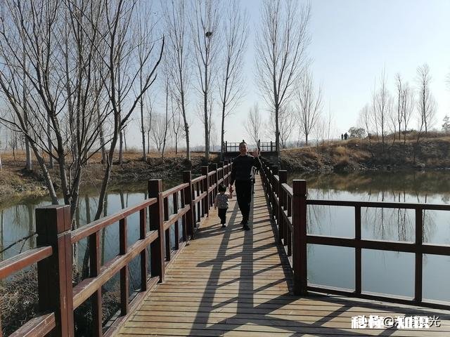 16岁心理问题待在家里辍学，怎么办