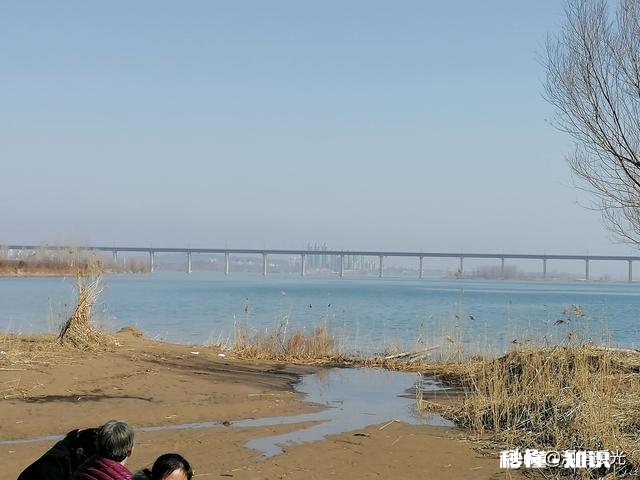 16岁心理问题待在家里辍学，怎么办