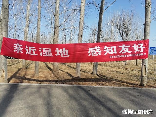 16岁心理问题待在家里辍学，怎么办