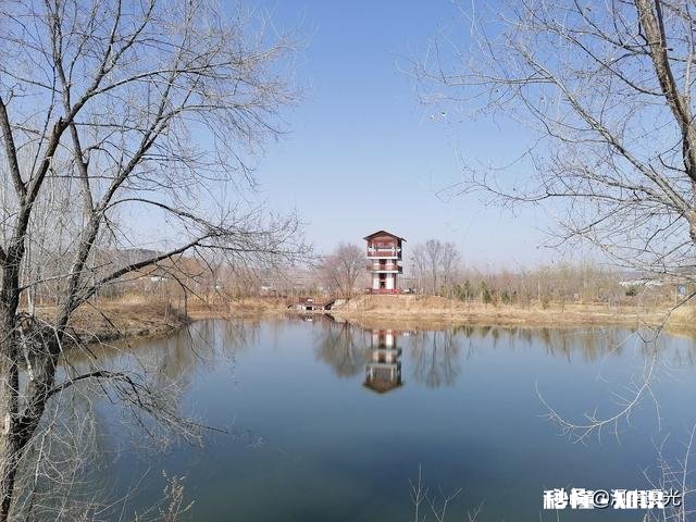 16岁心理问题待在家里辍学，怎么办