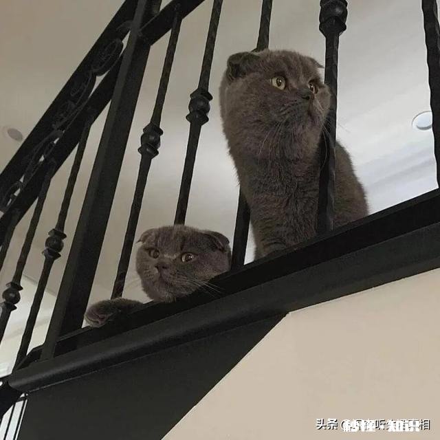 16岁心理问题待在家里辍学，怎么办