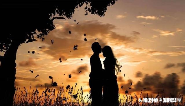 不婚，不育，同性结婚，不是挺好的吗