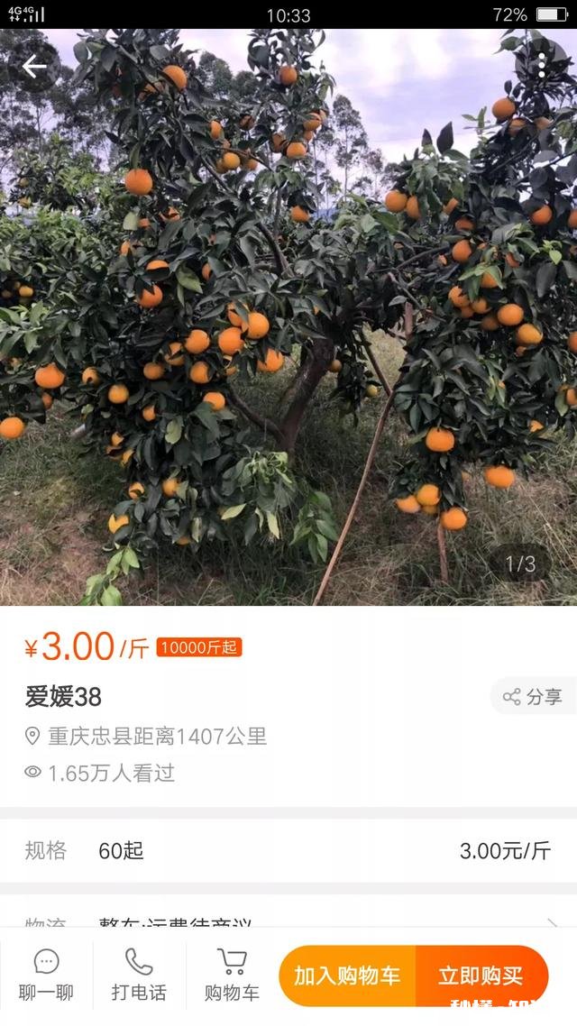 家里种的很多爱媛，在眉山丹棱水果之乡，卖不出去，有没有方法可以全部卖出去