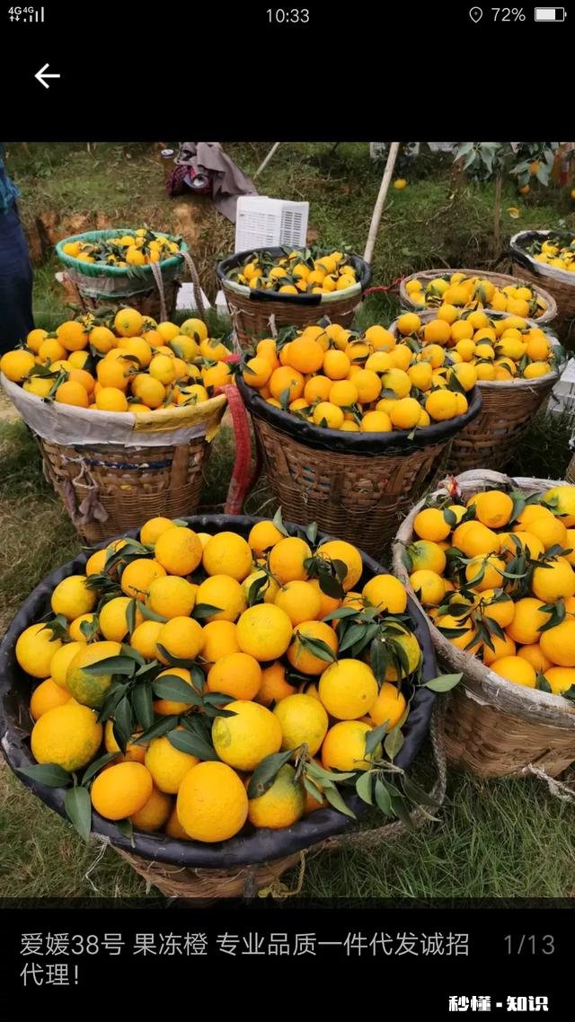 家里种的很多爱媛，在眉山丹棱水果之乡，卖不出去，有没有方法可以全部卖出去