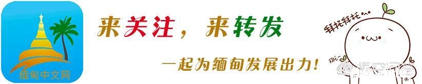 沙特与俄罗斯谁是中国石油的主要进口国