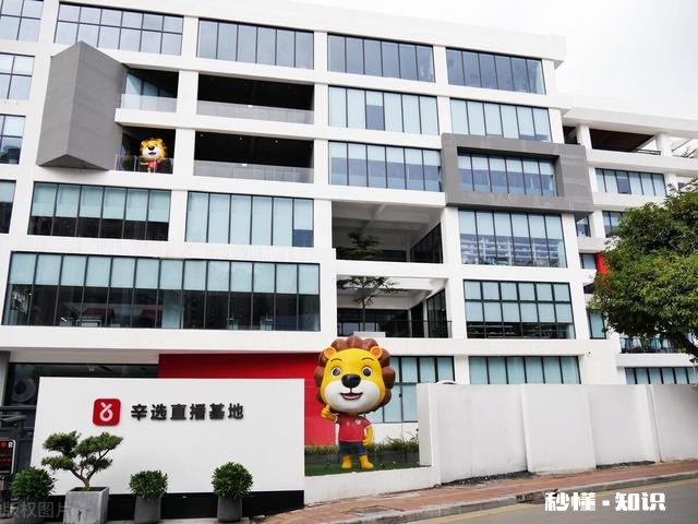 狂言狂语!网红辛巴坦言全网主播都不及他,到底哪来的自信