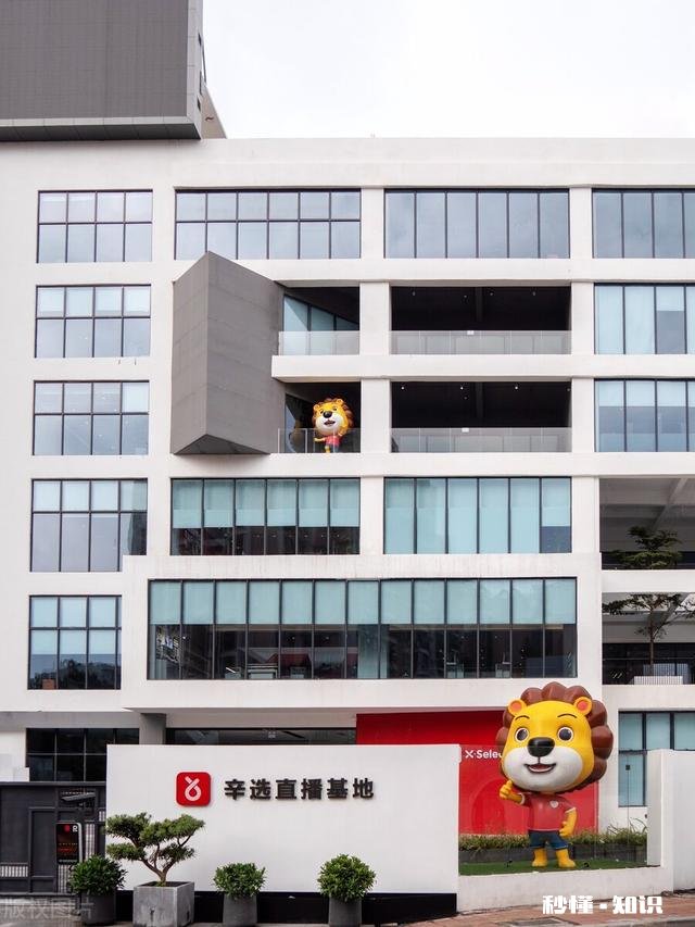 狂言狂语!网红辛巴坦言全网主播都不及他,到底哪来的自信