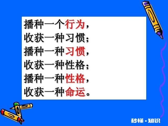 孩子总是三四点起床写第二天的作业怎么办