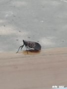 50岁500万能退休吗