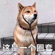 年轻人辞职炒股，应该如何劝阻