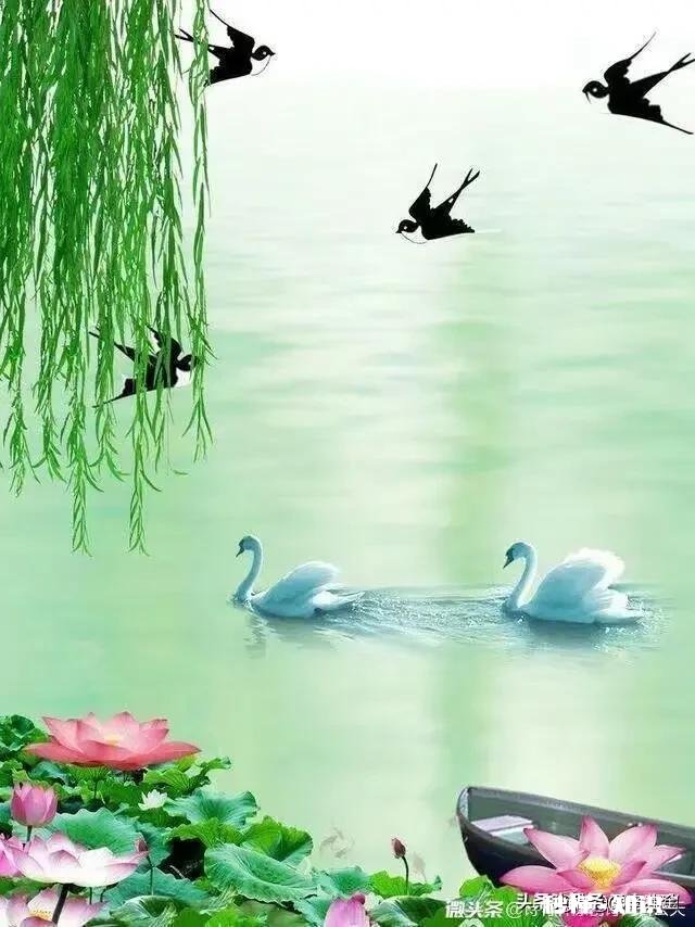 水利万物而不争,能化成水蒸气上天,能化成甘露滋养大地,哪些哲理值得我们推崇的