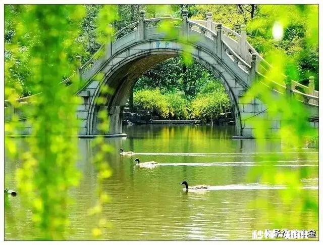 水利万物而不争,能化成水蒸气上天,能化成甘露滋养大地,哪些哲理值得我们推崇的
