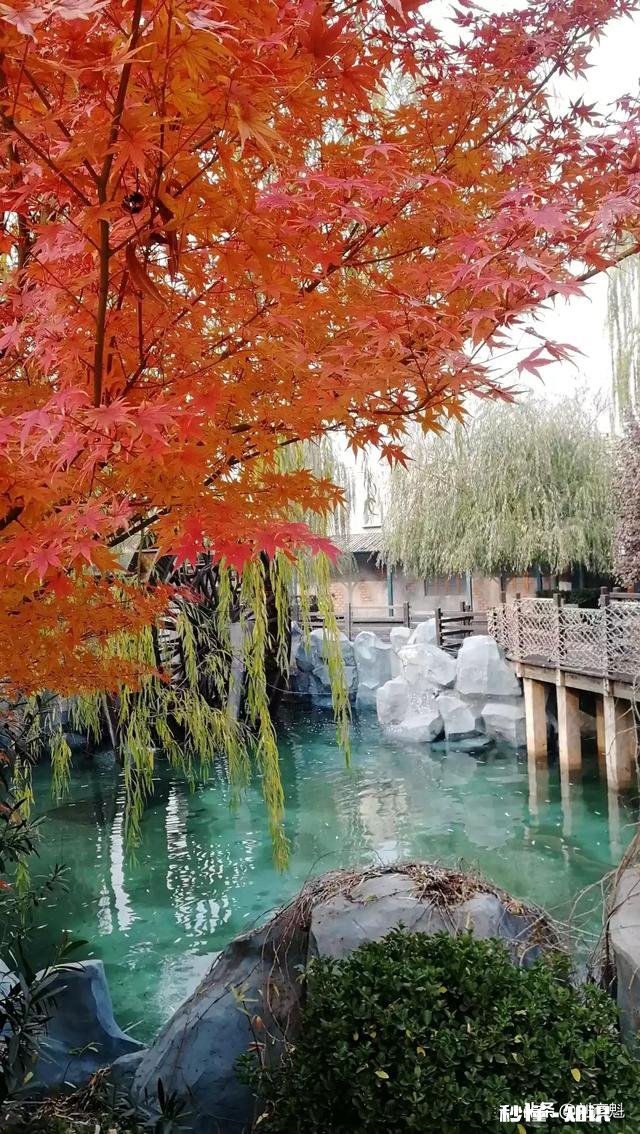 古诗中总抒发怀才不遇，在没有人理解欣赏的情况下，诗人们是怎么肯定自己是不遇而非无才的呢