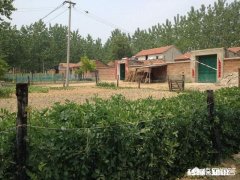 为什么现在拍三农视频的人越来越多