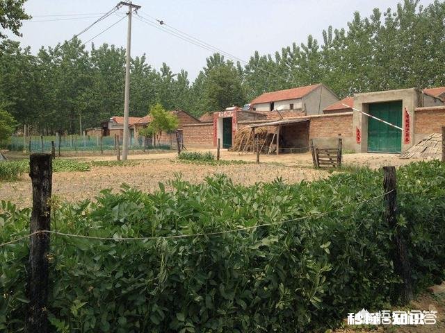 为什么现在拍三农视频的人越来越多