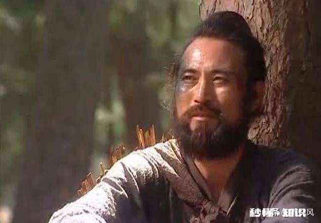 晁盖等人智取生辰纲的上一年，梁中书送给蔡京的生辰纲被谁劫了