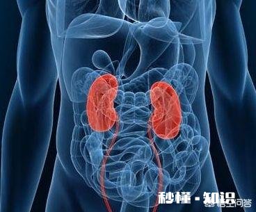 现在只要一喝带甜味的饮料就想上厕所,但是喝矿泉水就不会,这是为何