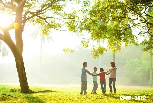 当你贫穷，婆婆公公看不起你，你是怎么在婆家赢得尊重和地位的