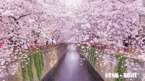 4月疫情日本还能去吗