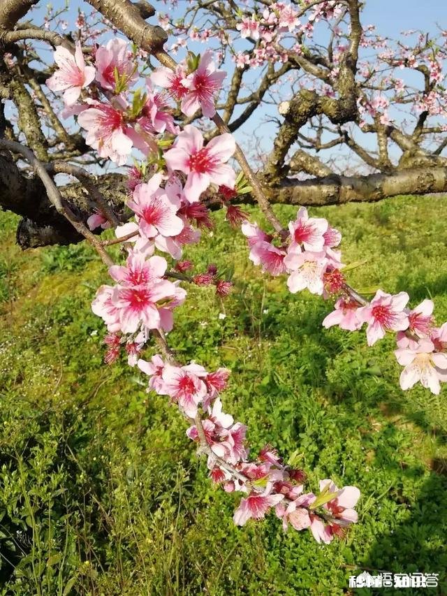 说一个你最想改掉的毛病是什么