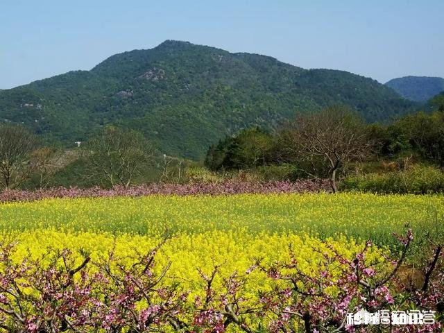 说一个你最想改掉的毛病是什么