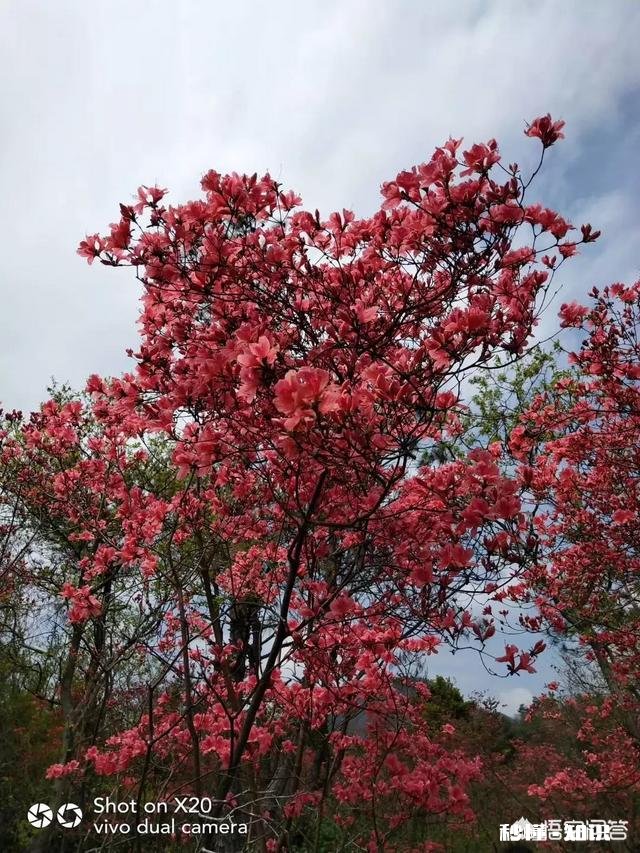 说一个你最想改掉的毛病是什么