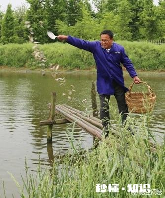 农村地带都有大大小小的池塘,进行青鱼、黑鱼、黄鳝、泥鳅之类的水产养殖有前景吗