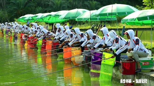 黑坑钓鲫鱼，没有明显的顿口，大多是顶漂中鱼，为什么