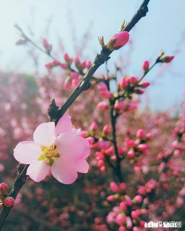 秋招和春招哪个好