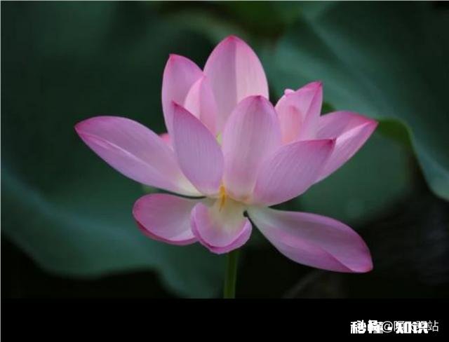 2020年，你的规划是什么该怎么去实现它