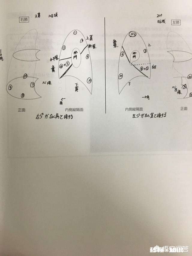 医学生做笔记是直接做在书上还是做在笔记本上好呢