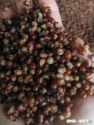 有没有人和我一样觉得散酒没有预包装白酒好喝