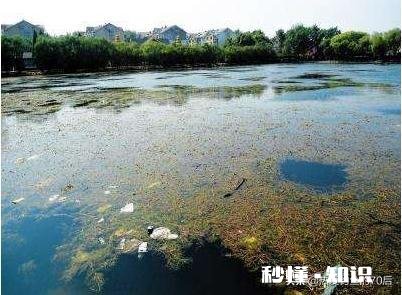 春季水库垂钓，怎样选择渔具又有哪些技巧呢