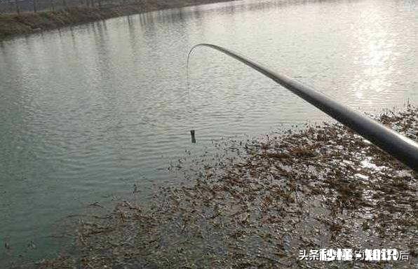春季水库垂钓，怎样选择渔具又有哪些技巧呢