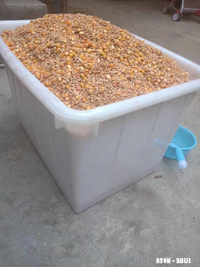 新手钓鱼,钓竿4.5米主线子线怎么配