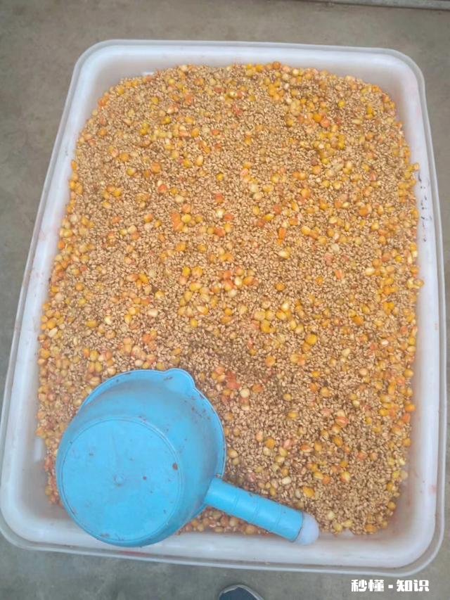 新手钓鱼,钓竿4.5米主线子线怎么配