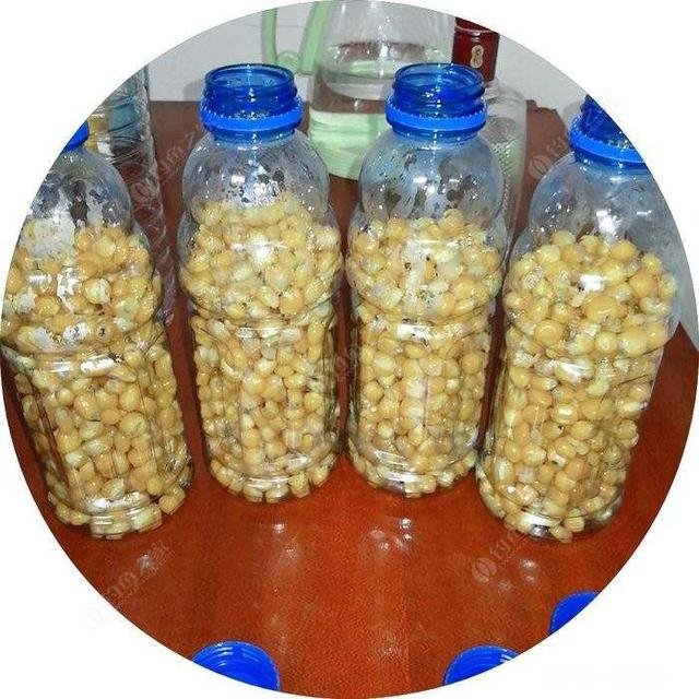 南方野钓有没有喜欢加酒做饵料的,不是酒米,是搭配荤饵还是素饵