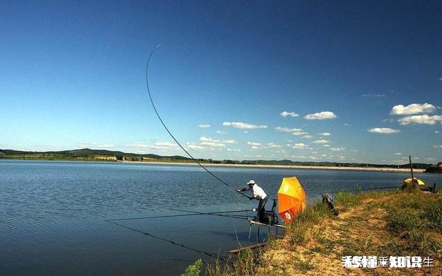 南方野钓有没有喜欢加酒做饵料的,不是酒米,是搭配荤饵还是素饵